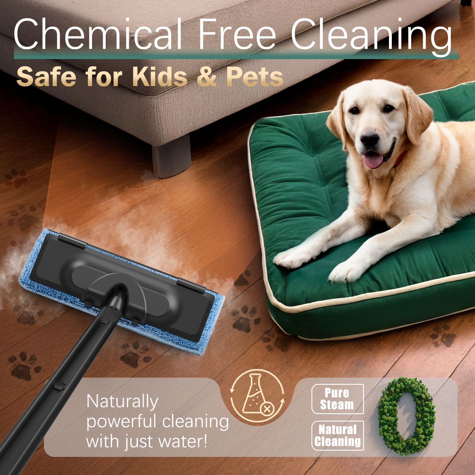 Steam Cleaner
