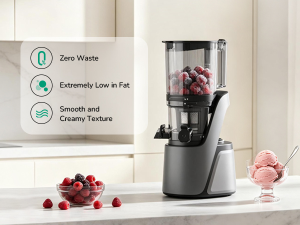Smooth low-fat fruit sorbet from frozen fruits