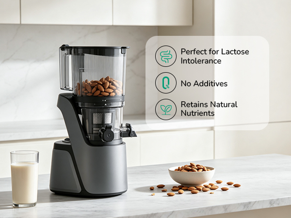 Creamy plant-based nut milk perfect for lactose intolerance