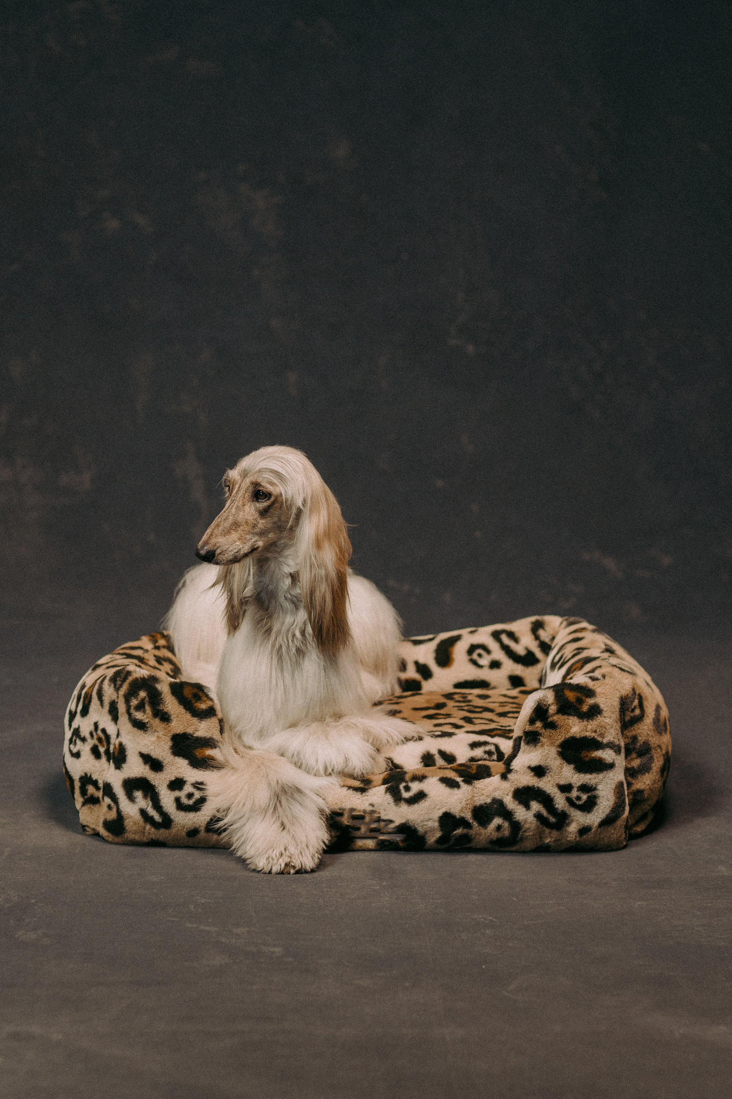 Orthopedic faux fur pet bed for dogs and cats