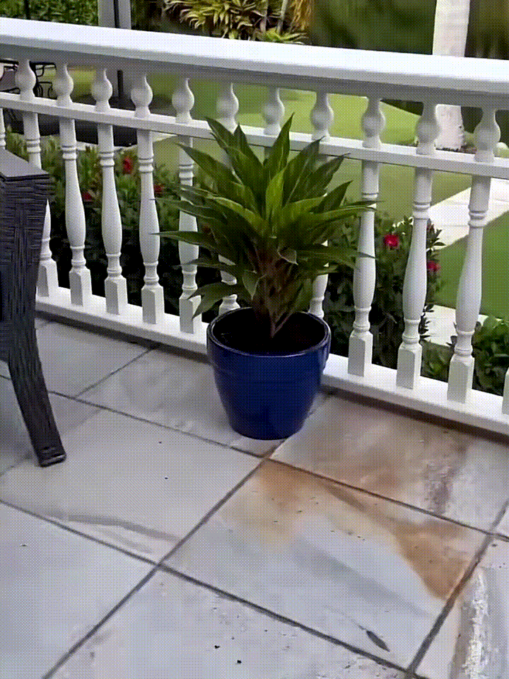 a6d6a86ae2b1ed9a2a40ff2b9eb83920788bee8b.gif