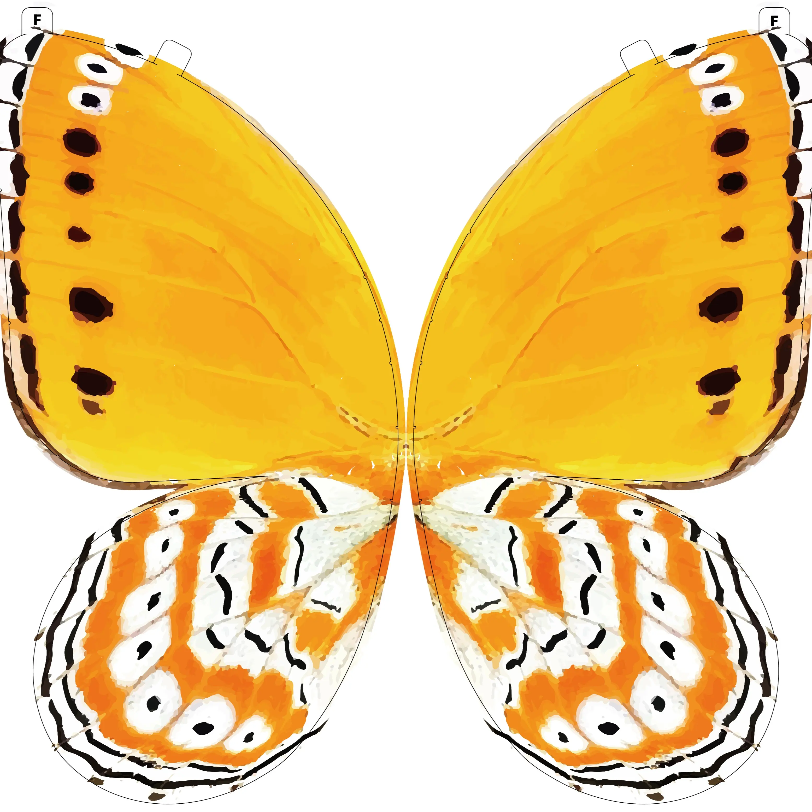 Bionic RC Flying Butterfly | Realistic Flapping Monarch | Cool Tech Toy & Gift