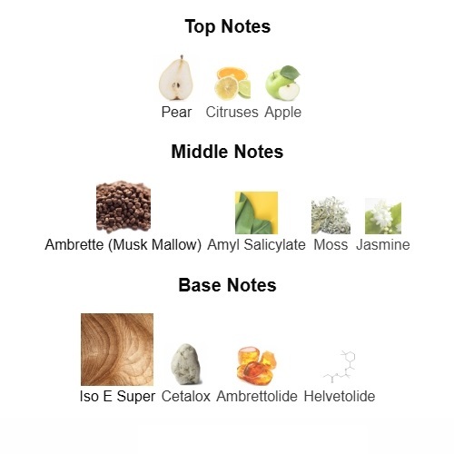 Another 13 Le Labo 100ml Perfume Fragrance Cologne