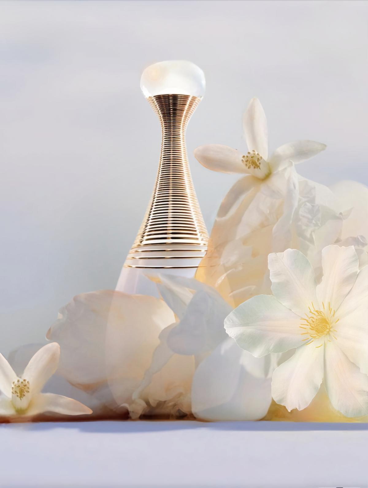 J'adore Parfum d'Eau Dior 100ml Perfume Fragrance Cologne
