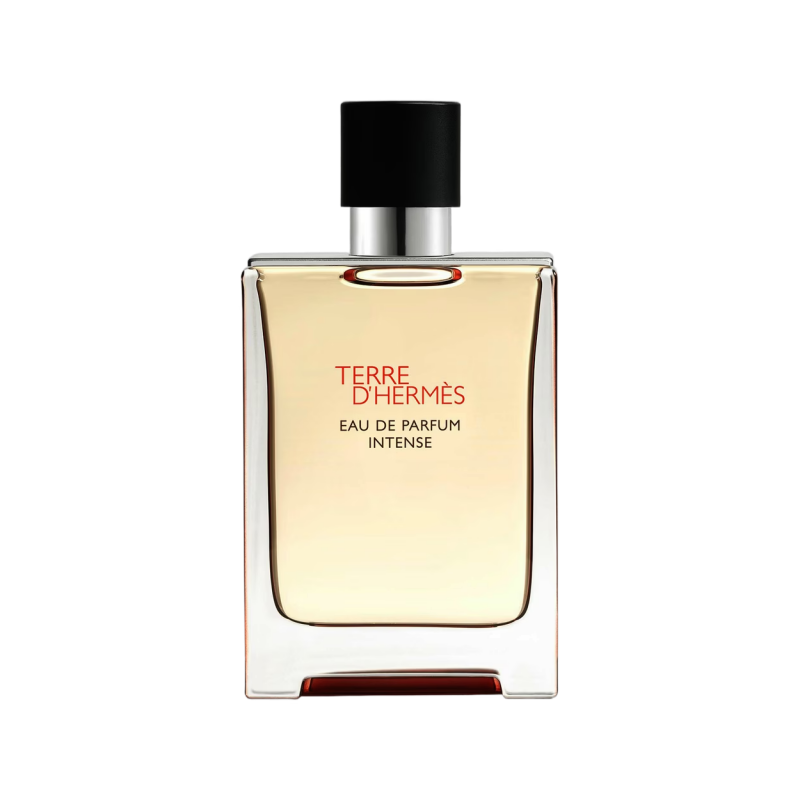 Terre d’Hermès Intense Hermès 100ml Perfume Fragrance Cologne