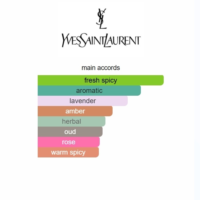 Y Elixir Yves Saint Laurent 100ml Perfume Fragrance Cologne