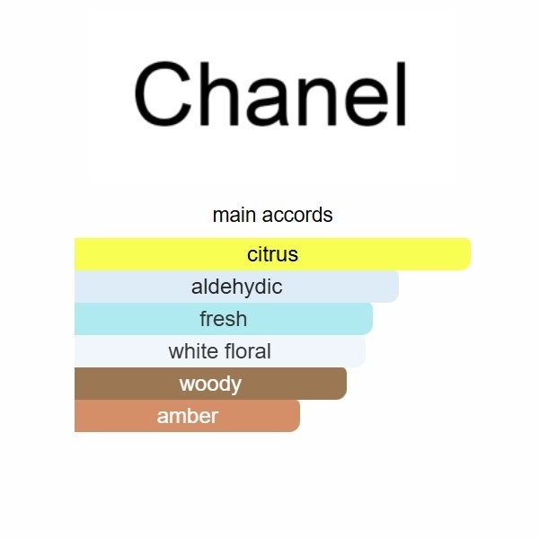 Chance Eau Fraiche Eau de Parfum Chanel 100ml Perfume Fragrance Cologne