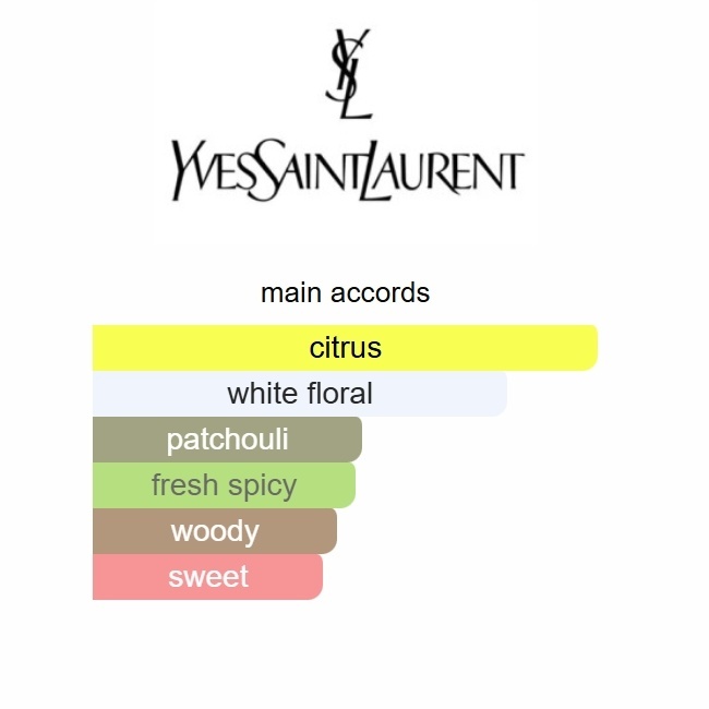 MYSLF Eau de Parfum Yves Saint Laurent 100ml Perfume Fragrance Cologne
