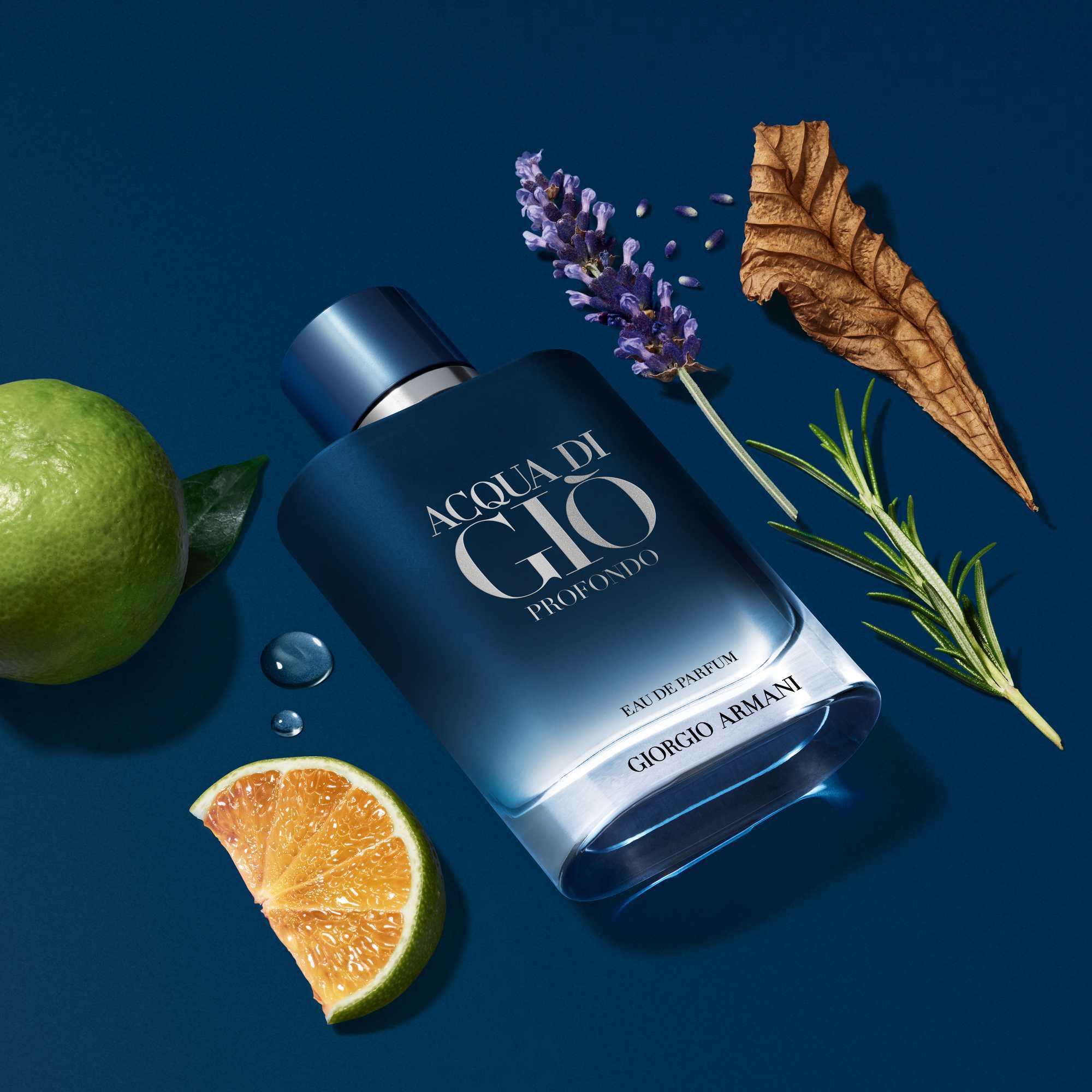 Acqua di Giò Profondo Parfum Giorgio Armani 100ml Perfume Fragrance Cologne