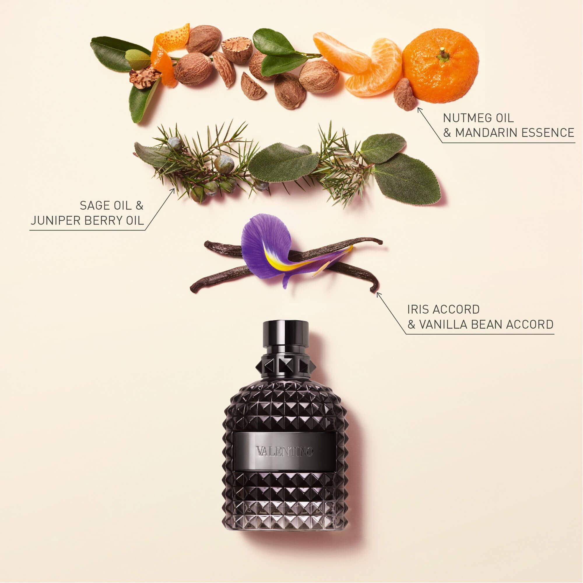 Valentino Uomo Intense Valentino 100ML Perfume Fragrance Cologne