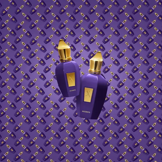 Purple Accento Xerjoff 100ml Perfume Fragrance Cologne