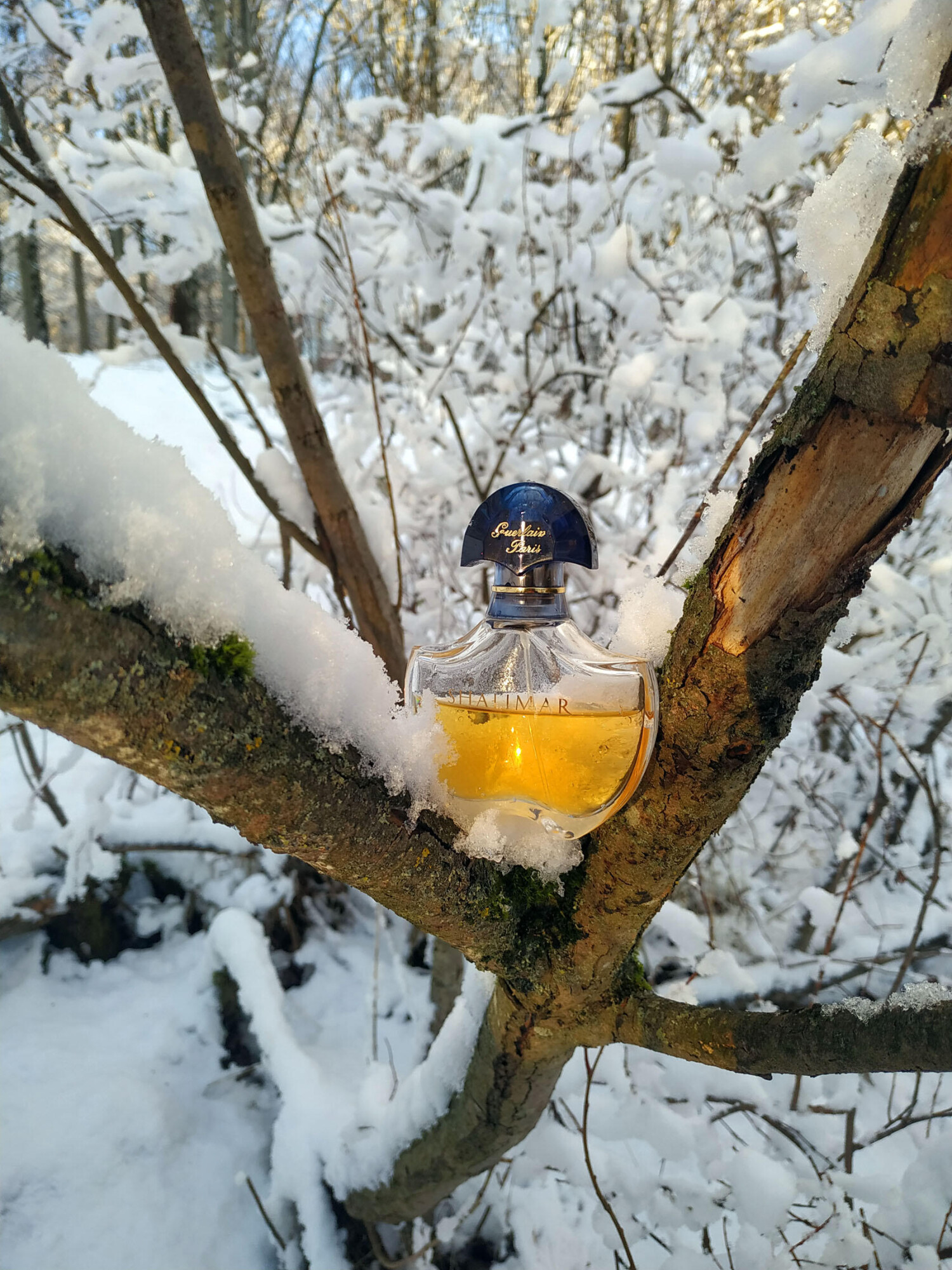 Shalimar Eau de Parfum Guerlain 90ml Perfume Fragrance Cologne