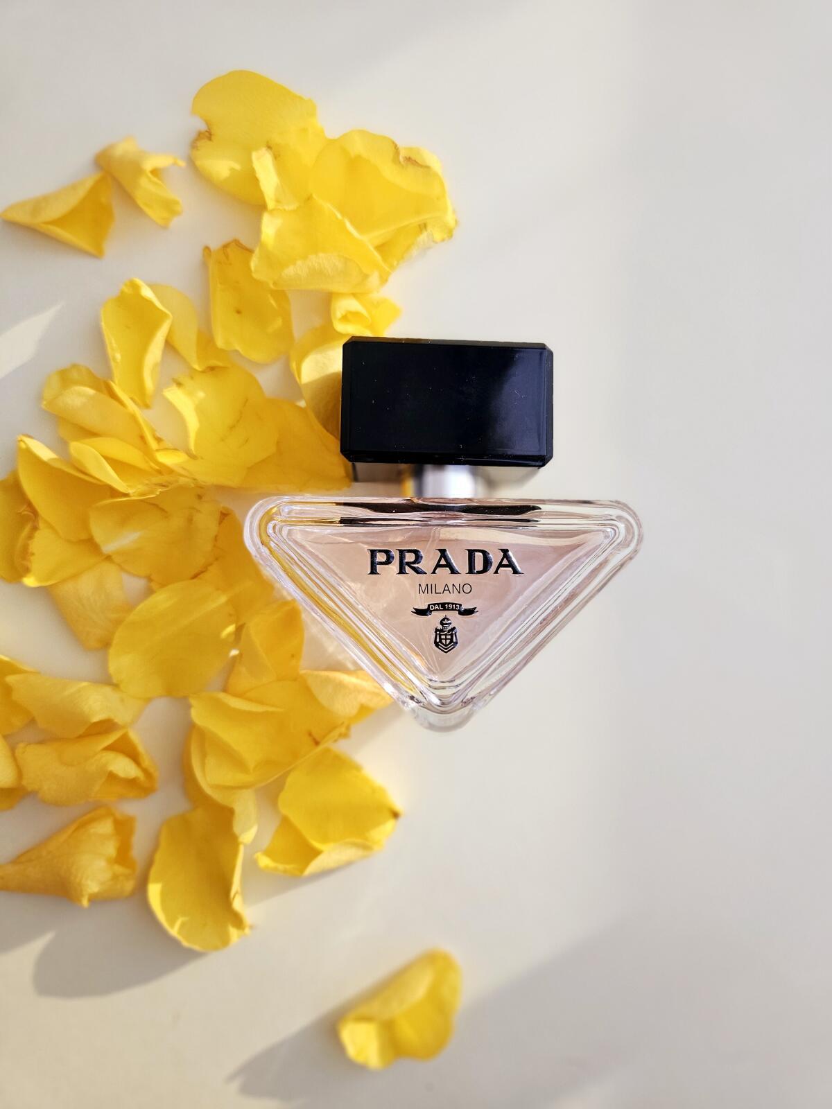 Prada Paradoxe Prada 90ml Perfume Fragrance Cologne