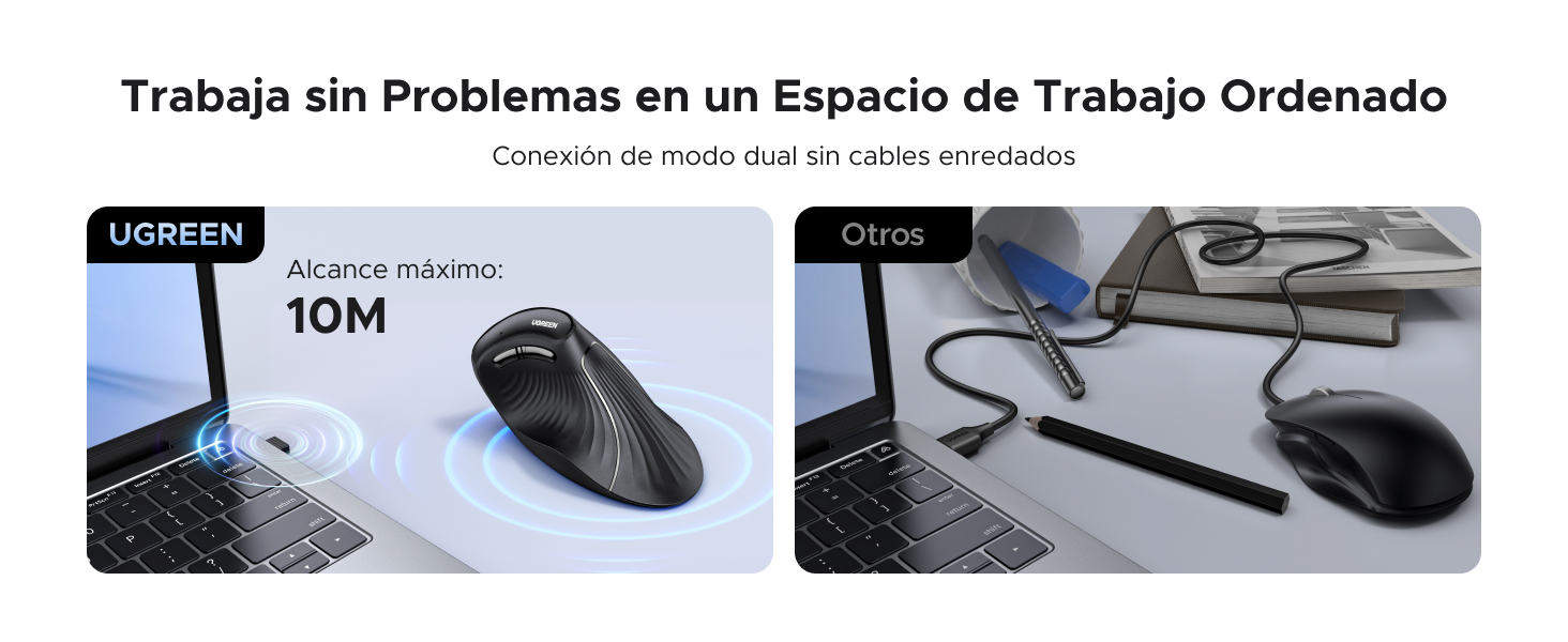 MOUSE