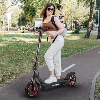 HONEYWHALE M2 Pro Scooter Eléctrico Plegable para Adultos, Motor de 500 W de Potencia Máxima, 22km con una Carga Completa, Velocidad Máxima 32km/h, Patin Eléctrico con App Control Bluetooth