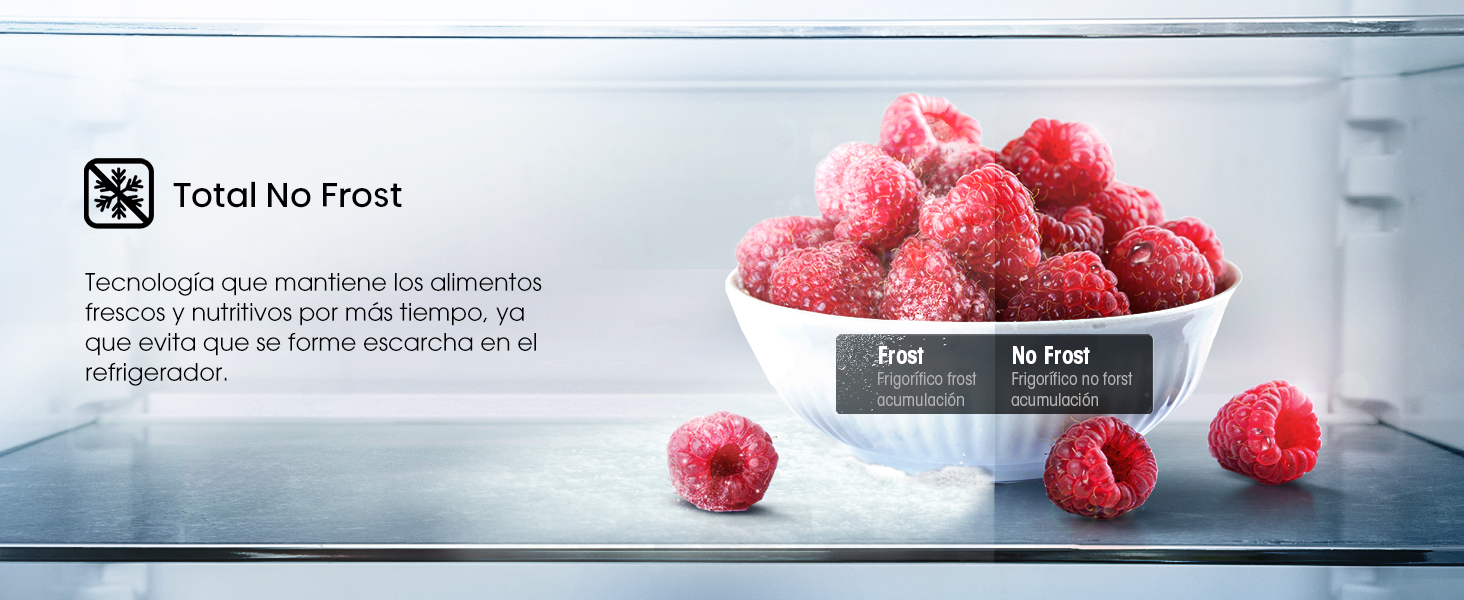 Total No Frost