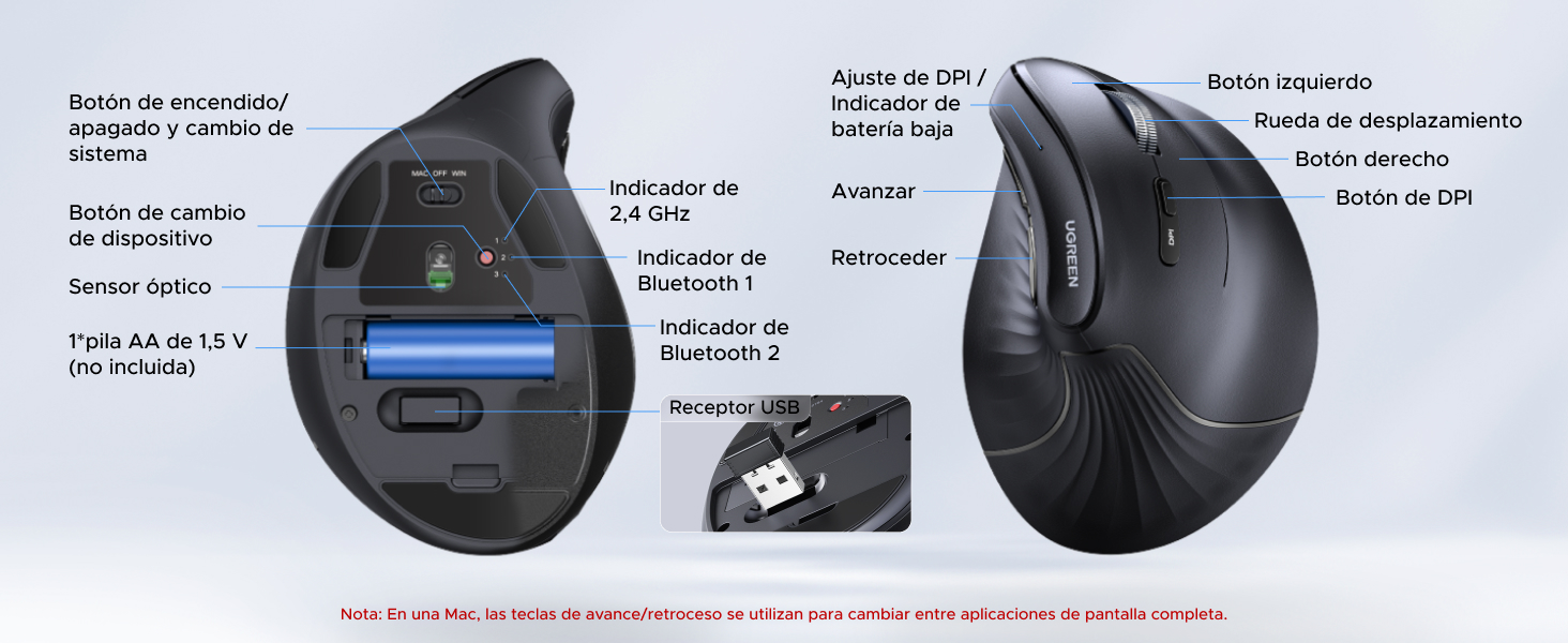 MOUSE