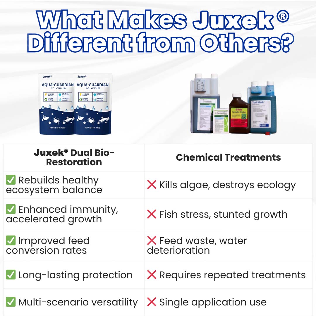 ✨ From Green to Clean Overnight! |⏱️ Crystal Clear in 24 Hours! | Juxek® Aqua-Guardian Pro Formula