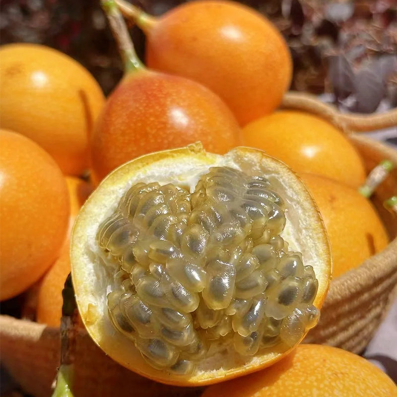 🍊🍊 Колумбийска страстова плод
