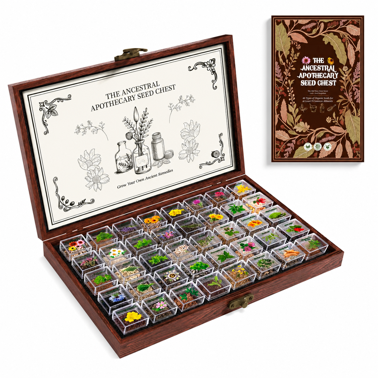 40 Varieties Herbal Seed Collection Chest with Non-GMO Heirloom Herb Seeds