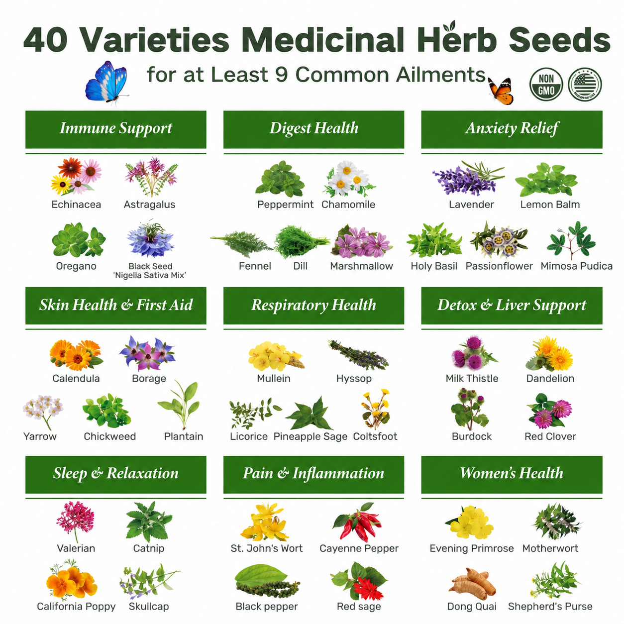 40 Varieties Herbal Seed Collection Chest with Non-GMO Heirloom Herb Seeds