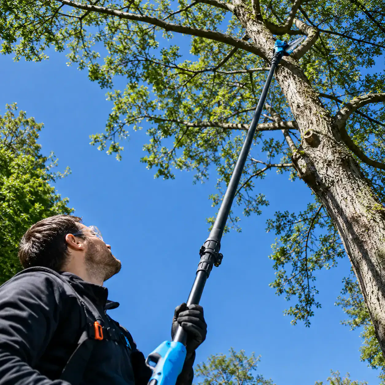 Telescopic Cordless Tree Pruner Saw with 2.4G Wireless Control