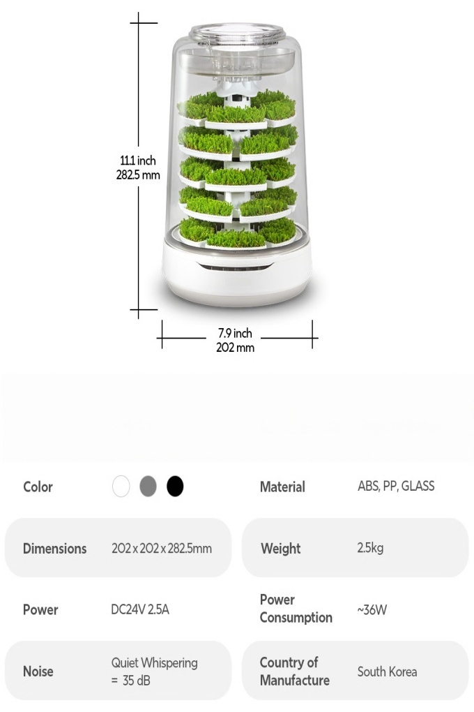Smart Live‑Moss Terrarium with Fog Humidification & Bluetooth Control, Chemical‑Free Indoor Air Refresh