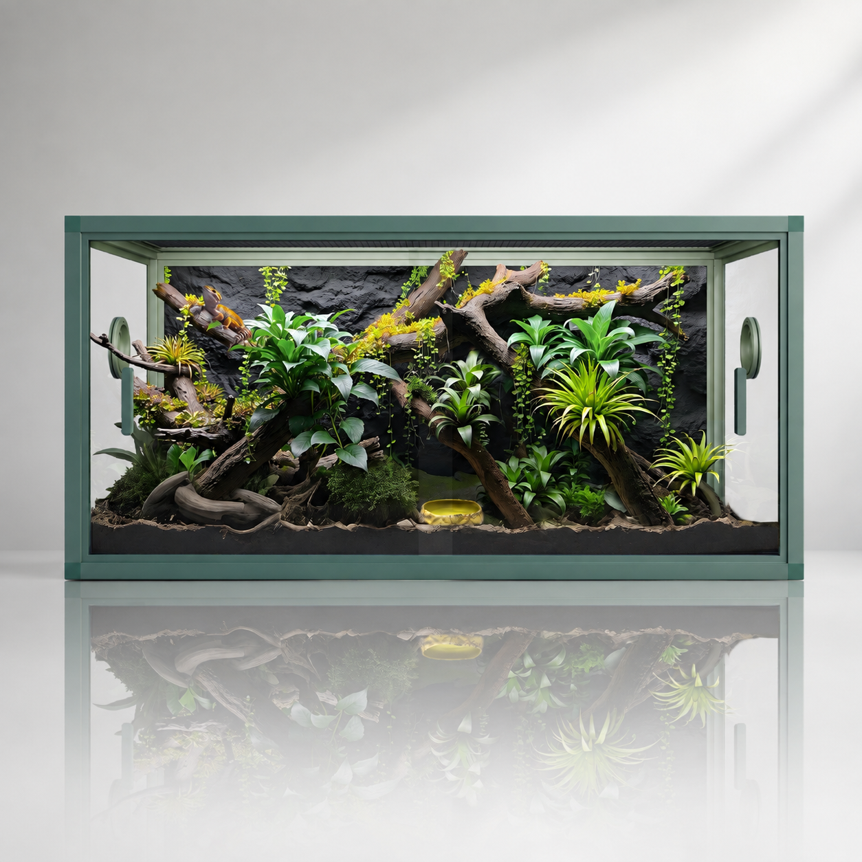 36×18×18 Leopard Gecko Habitat , 50 Gallon Reptile Tank