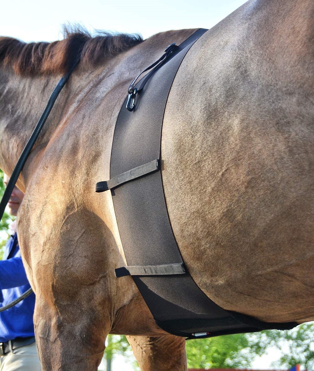 Deluxe Horse Anti-Rub Girth Protection Bandage for Equine Riding & Training