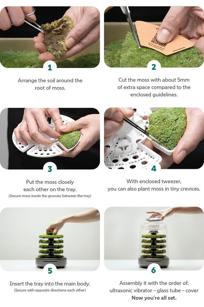 Smart Live‑Moss Terrarium with Fog Humidification & Bluetooth Control, Chemical‑Free Indoor Air Refresh