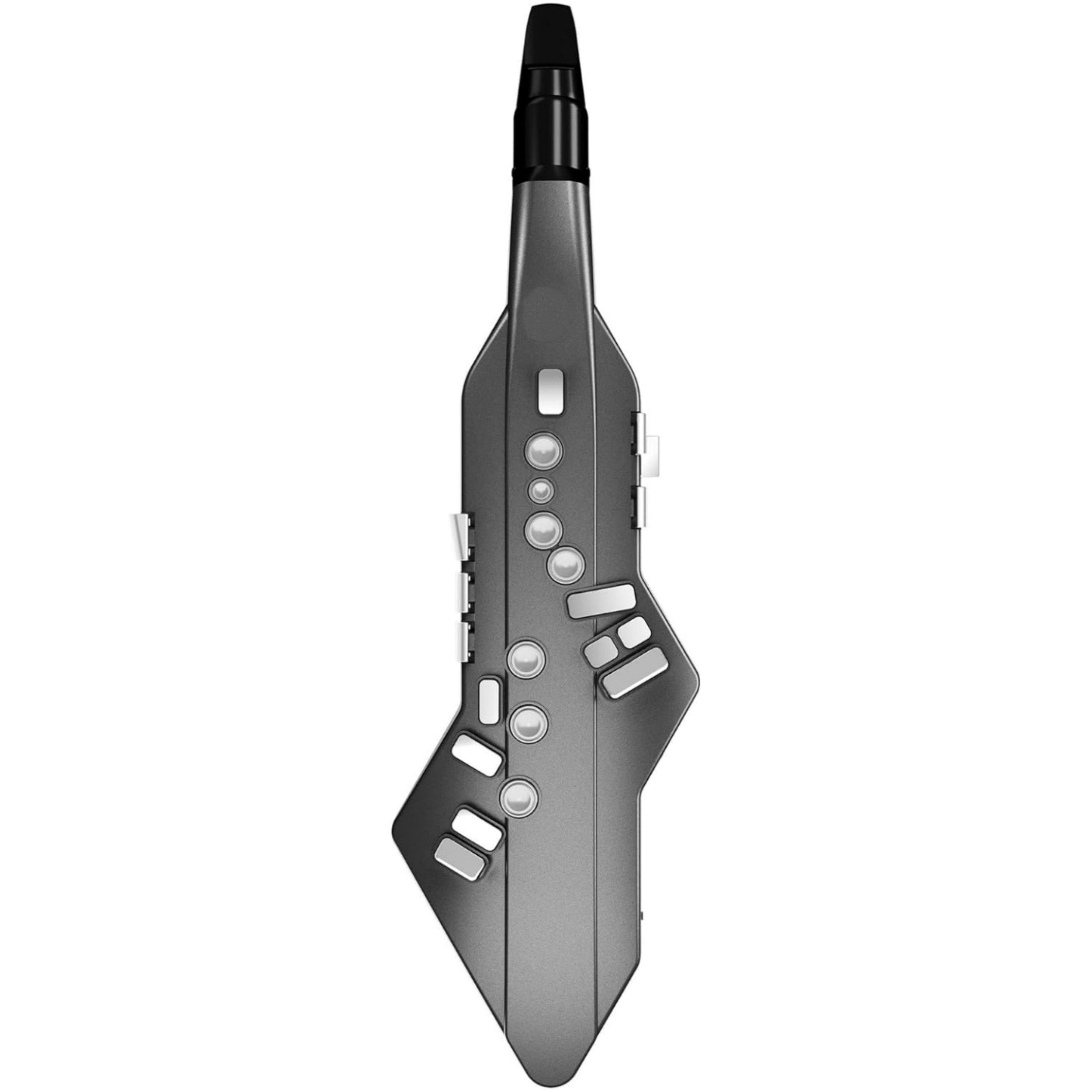 Digital Wind Instrument