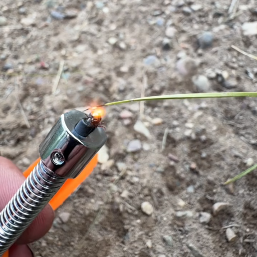 Tick Removal Tool – Portable Outdoor Tick Extractor