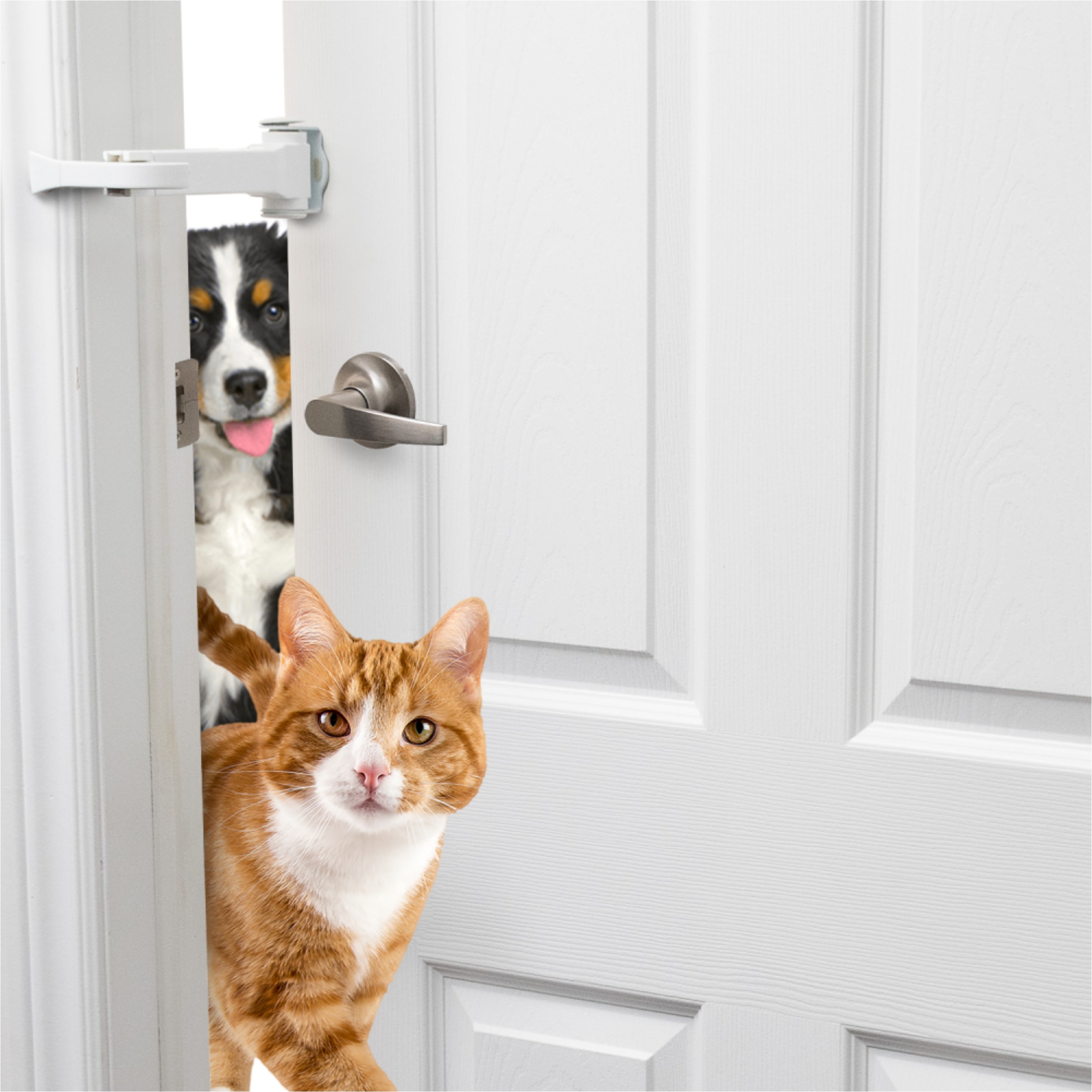 Door Stopper & Childproof Door Lock – Adjustable, Portable, Tool‑Free
