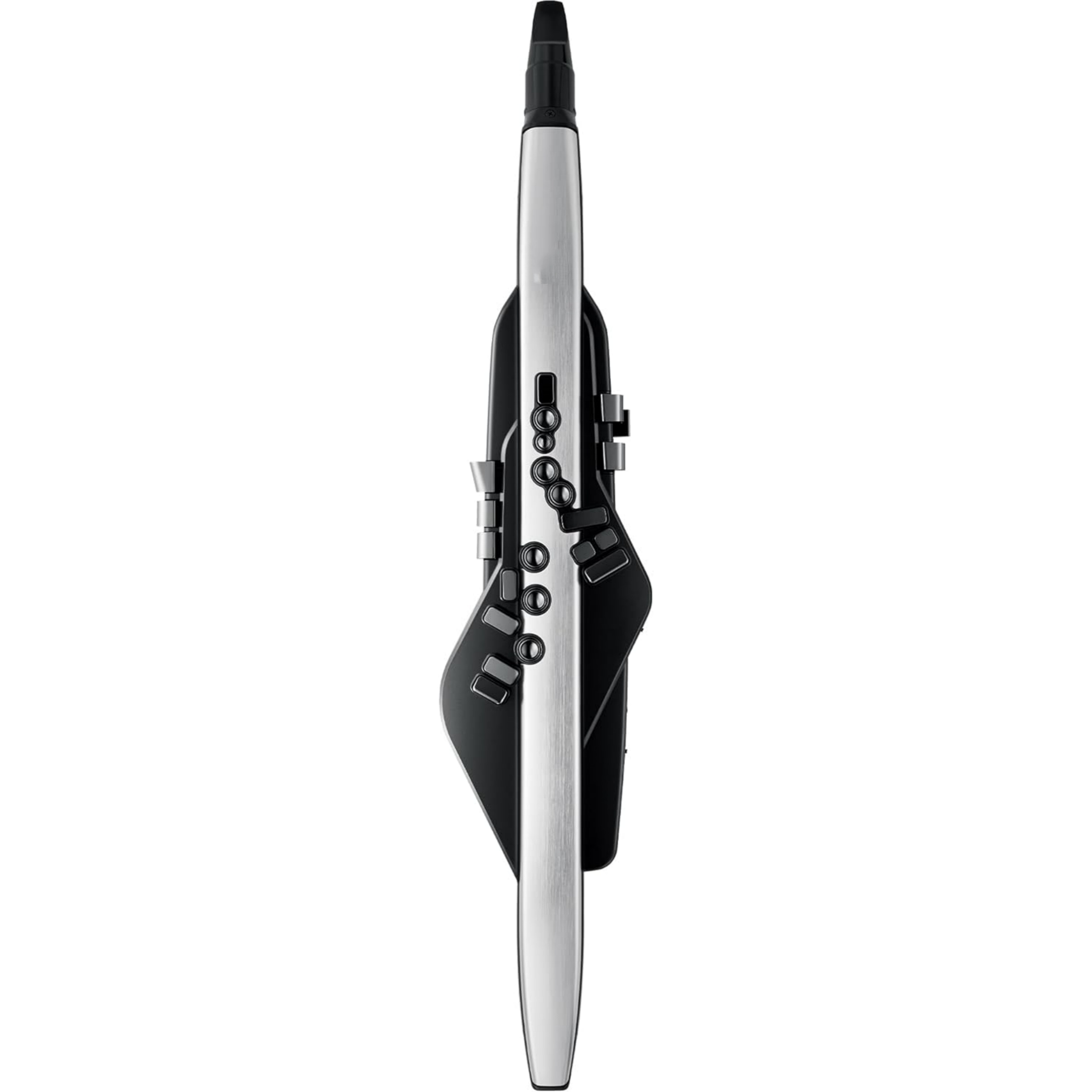 Digital Wind Instrument