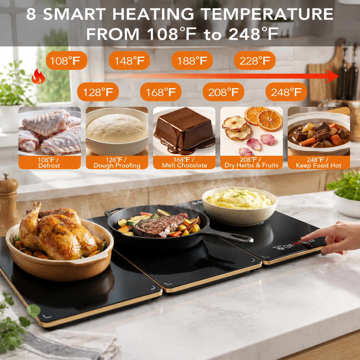 Electric Buffet Warming Tray