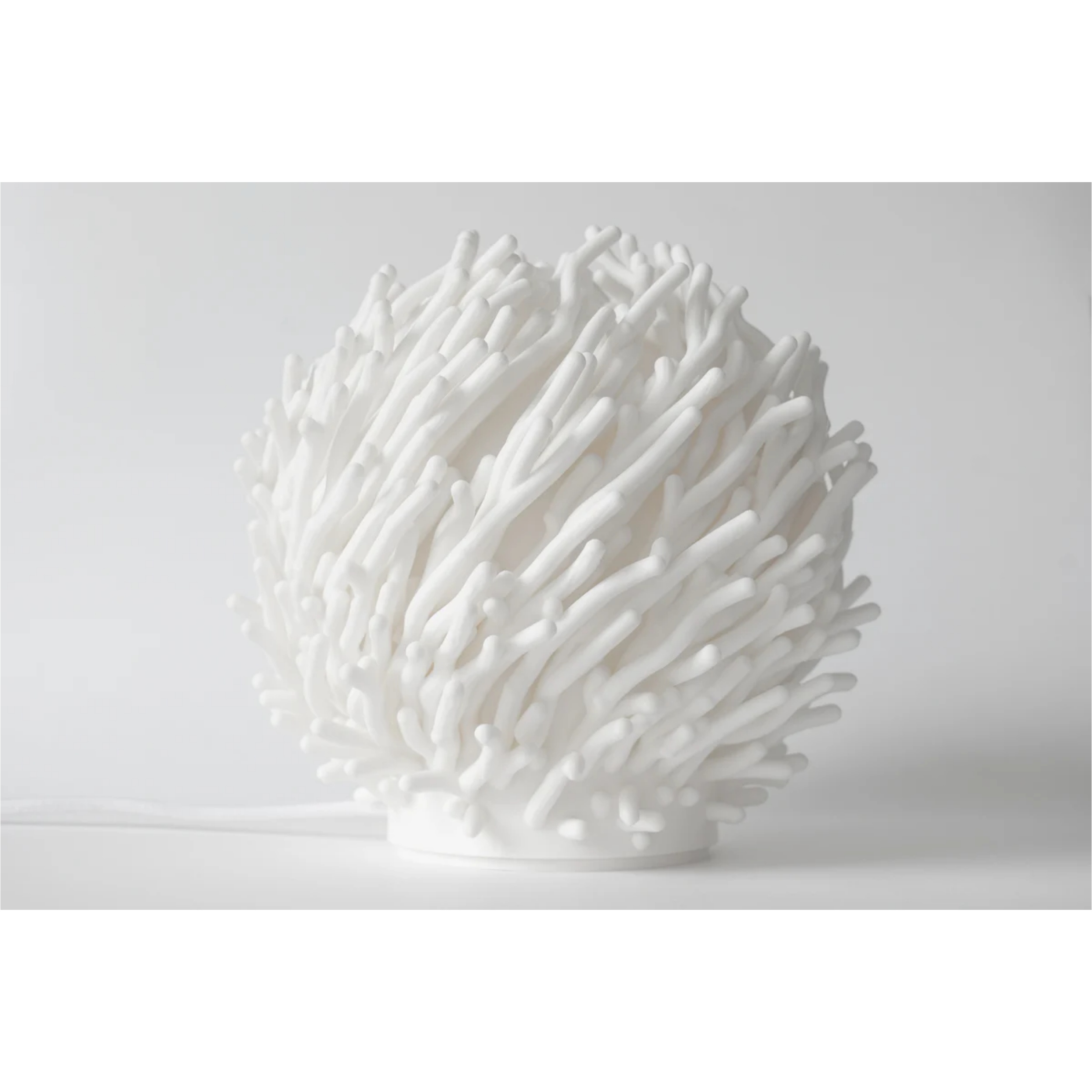 O7 Coral Sculpted Lamp – Sculptural Art Meets Ambient Light