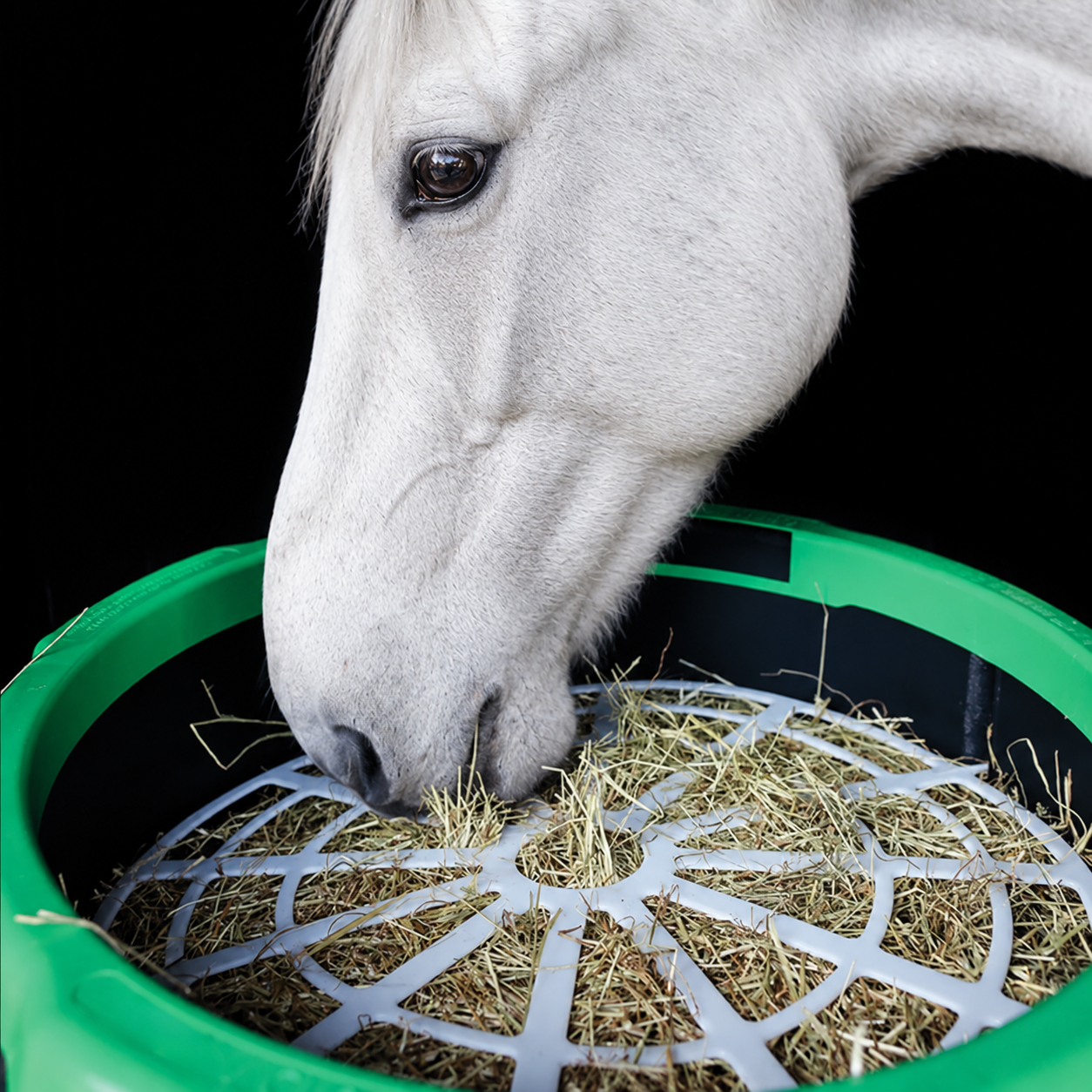 Equine Slow Feed Hay Forager