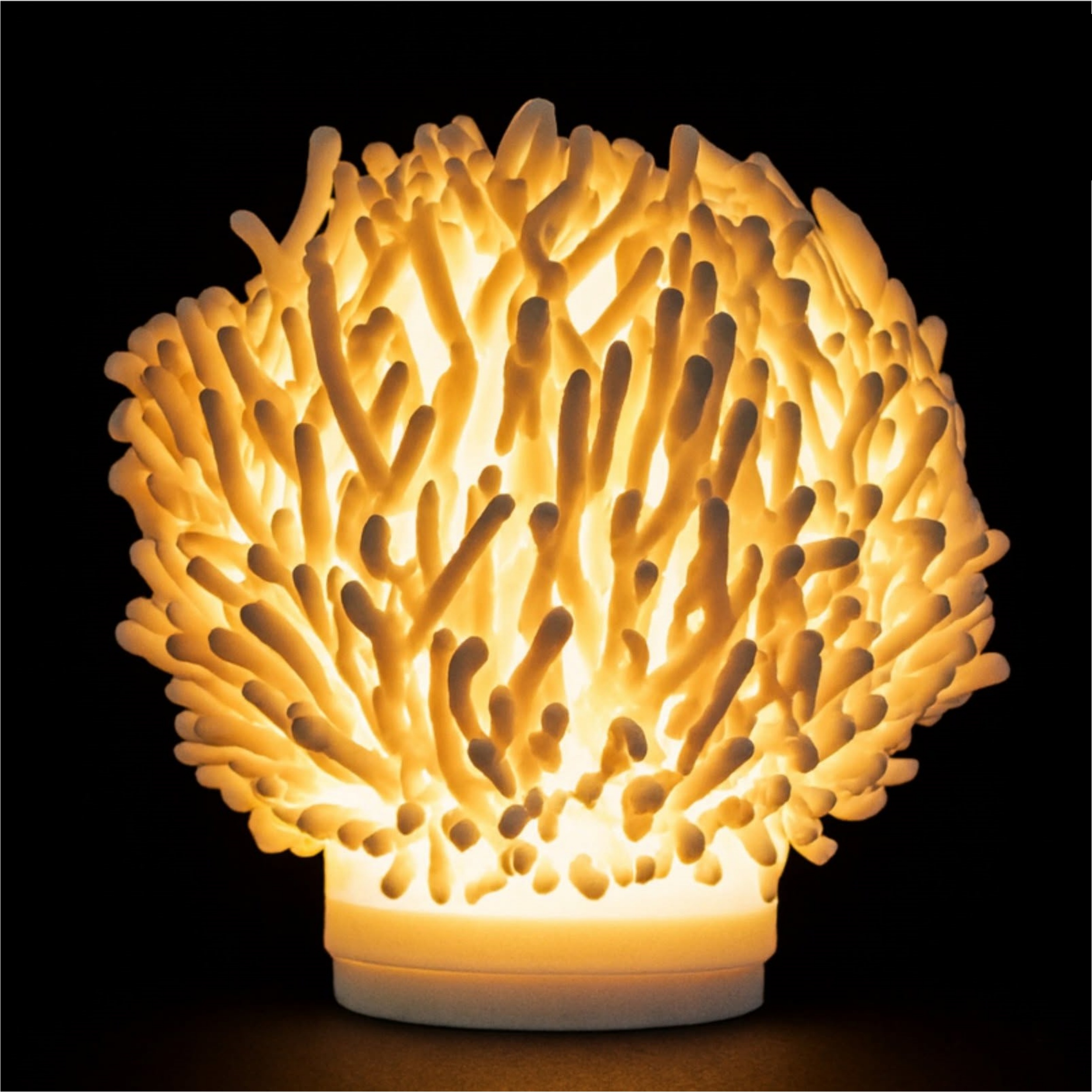 O7 Coral Sculpted Lamp – Sculptural Art Meets Ambient Light