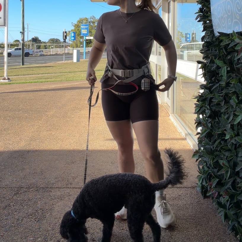 Hands‑Free Dog Belt – 370 kg Pull Strength, Quick‑Clip System, 5 Pockets