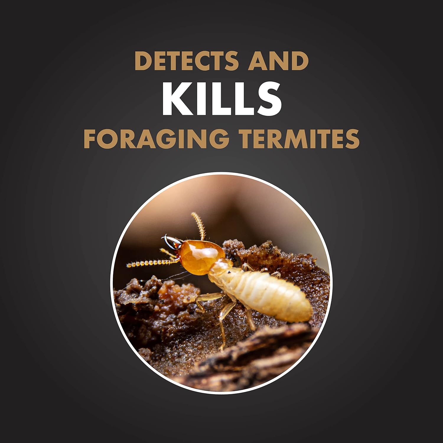 Termite Detection & Killing Stakes – 15-Pack, Pop-Up Alerts, Easy DIY Install