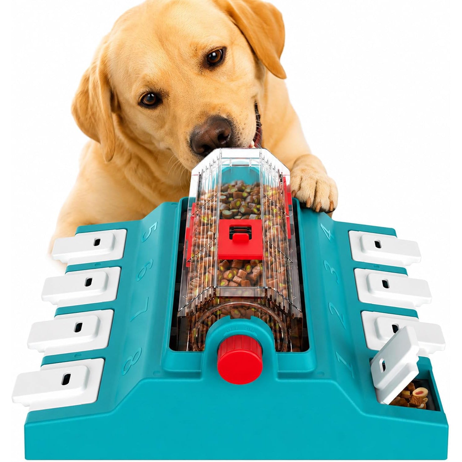 Dog Puzzle Toy & Slow Feeder
