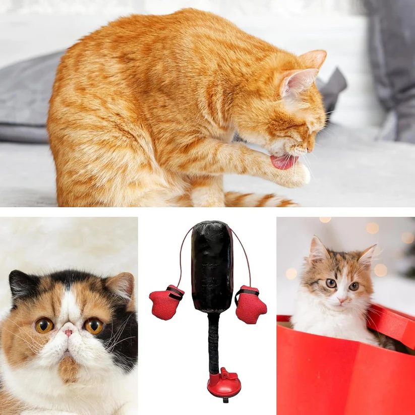 Mini Cat Punching Bag – Premium Catnip Filled, Suction Cup Base, Interactive Toy for Indoor Cats