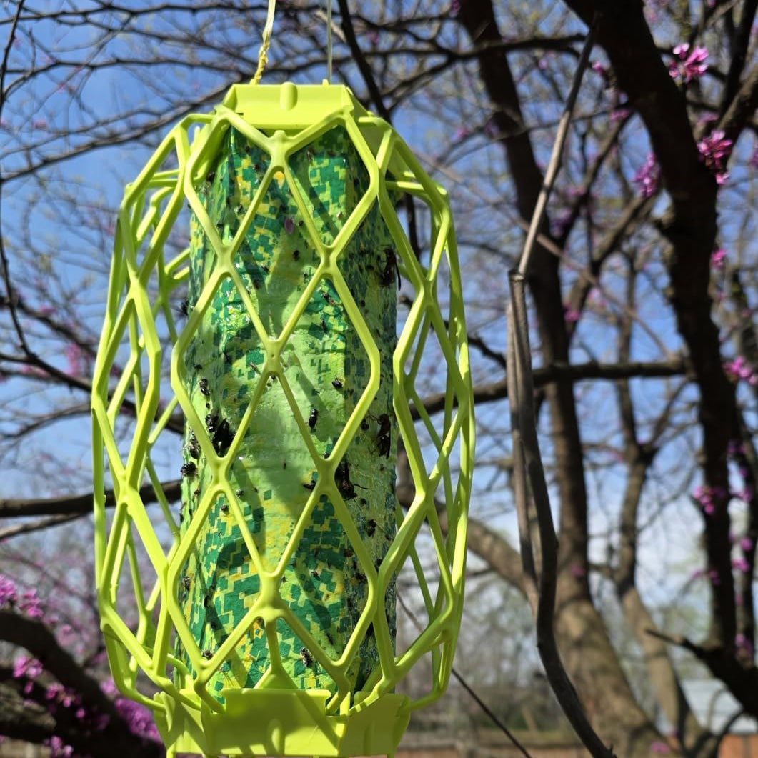 Wasp Trap – Sticky Trap for Wasps, Mud Daubers & Carpenter Bees