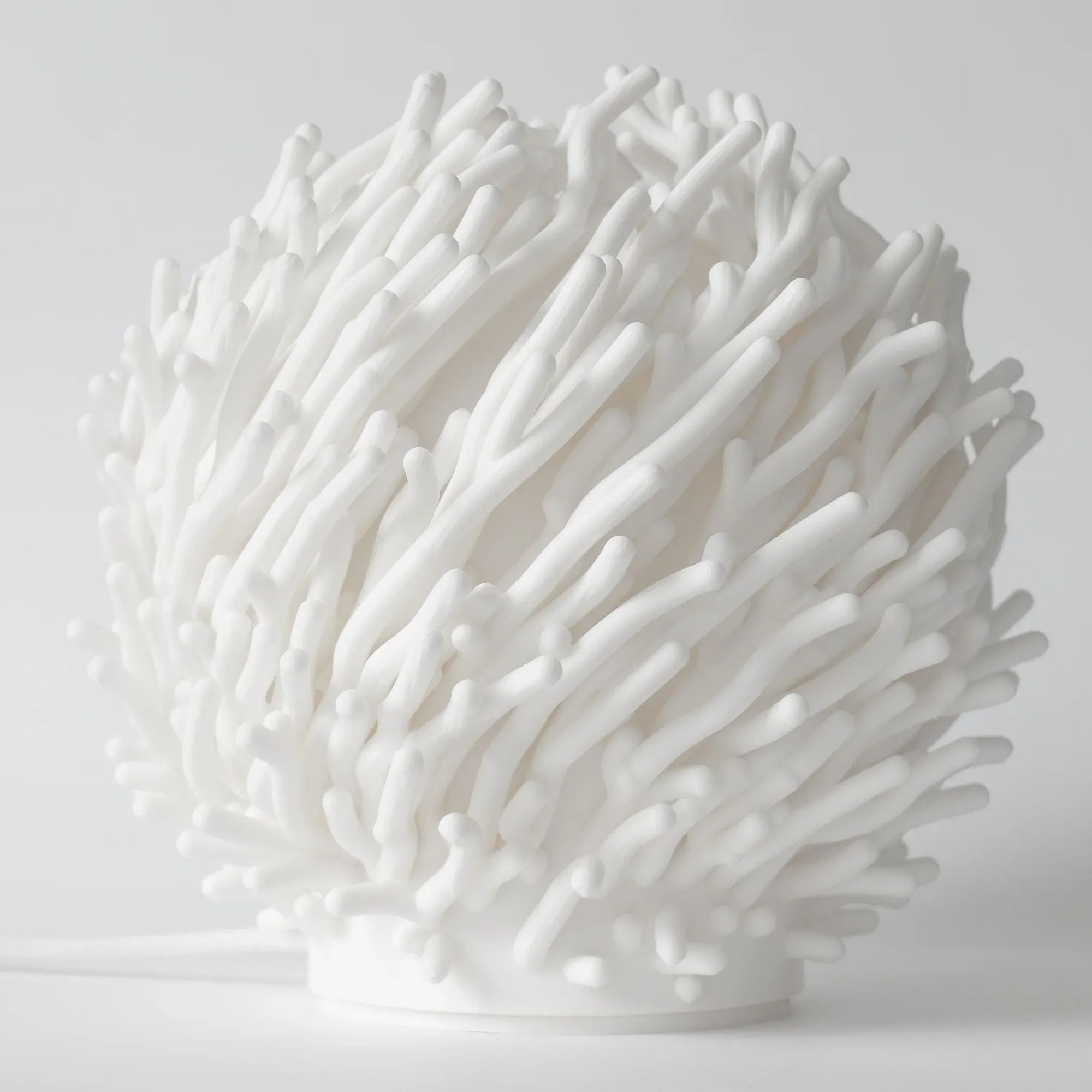 Coral Sculpted Lamp – Organic Form, Plant‑Based Material, Soft Ambient Glow, Made to Order
