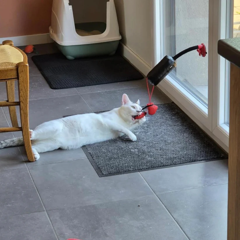 Mini Cat Punching Bag – Premium Catnip Filled, Suction Cup Base, Interactive Toy for Indoor Cats