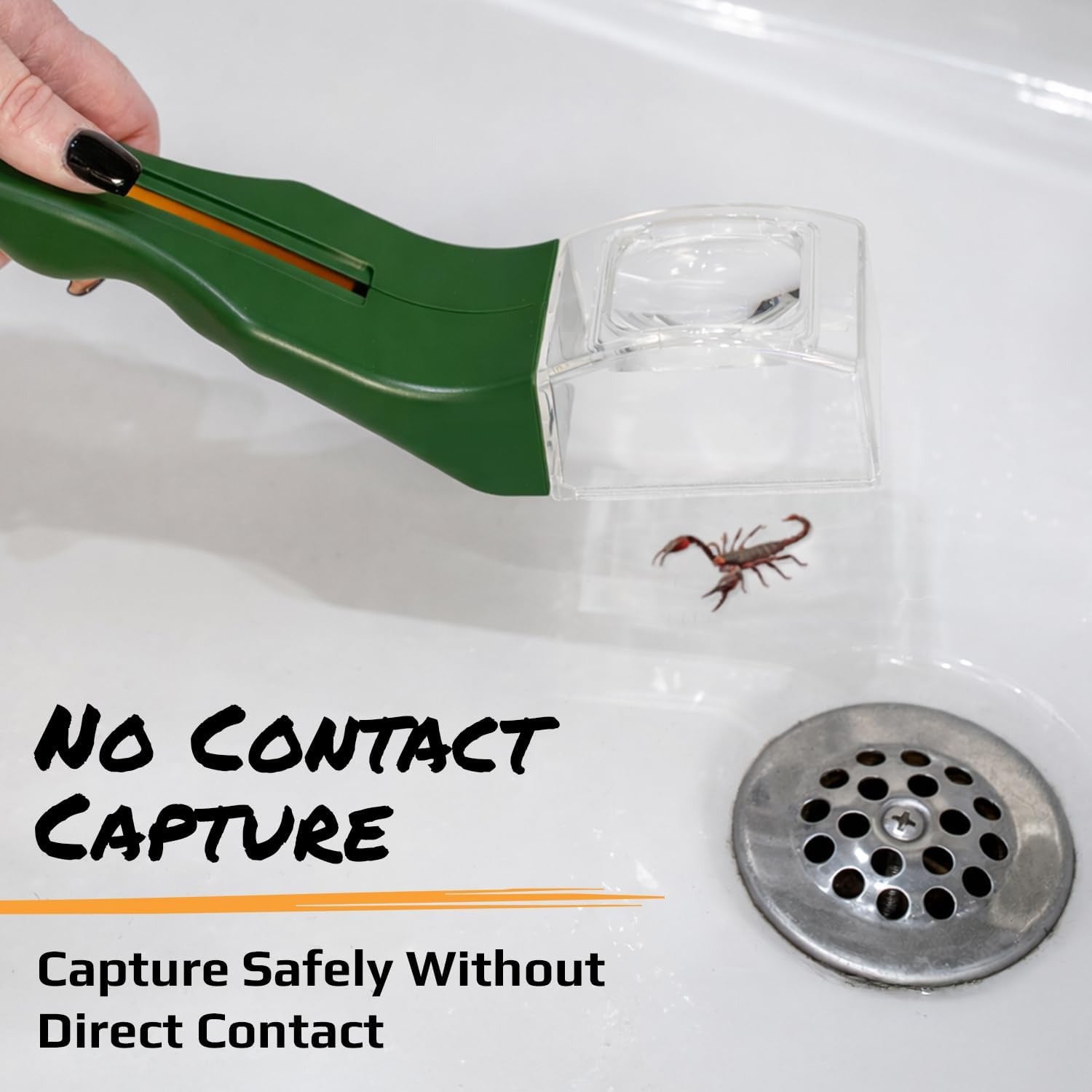 Magnifying glass for rapid release of insect trap