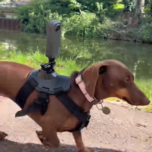 Adjustable Dog Camera Harness Mount