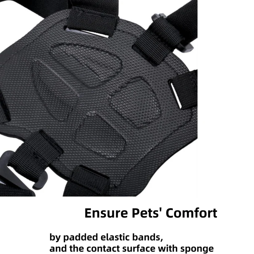 Adjustable Dog Camera Harness Mount
