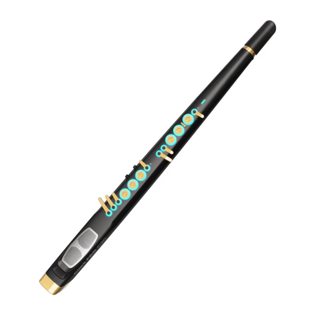 PRO C20 Digital Wind Instrument – Dual‑Engine