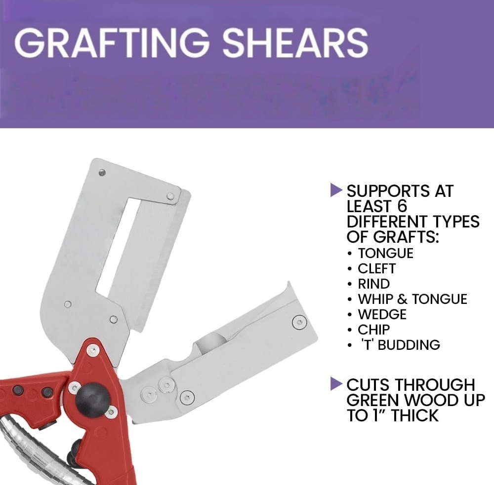 Multi-Graft Shears – 7 Graft Types, Beginner-Friendly
